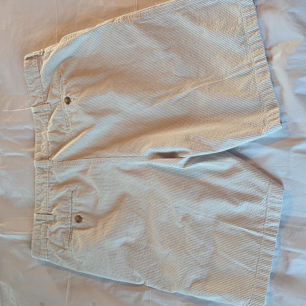 Izod Men's Lot of Two 10"‎ Seersucker Shorts Blue Tan Preppy Size 40 - Picture 11 of 15
